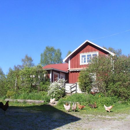 Boende Naera Romme Alpin Och Andra Friluftsaktiviteter I Dalarna Smedjebacken Luaran gambar