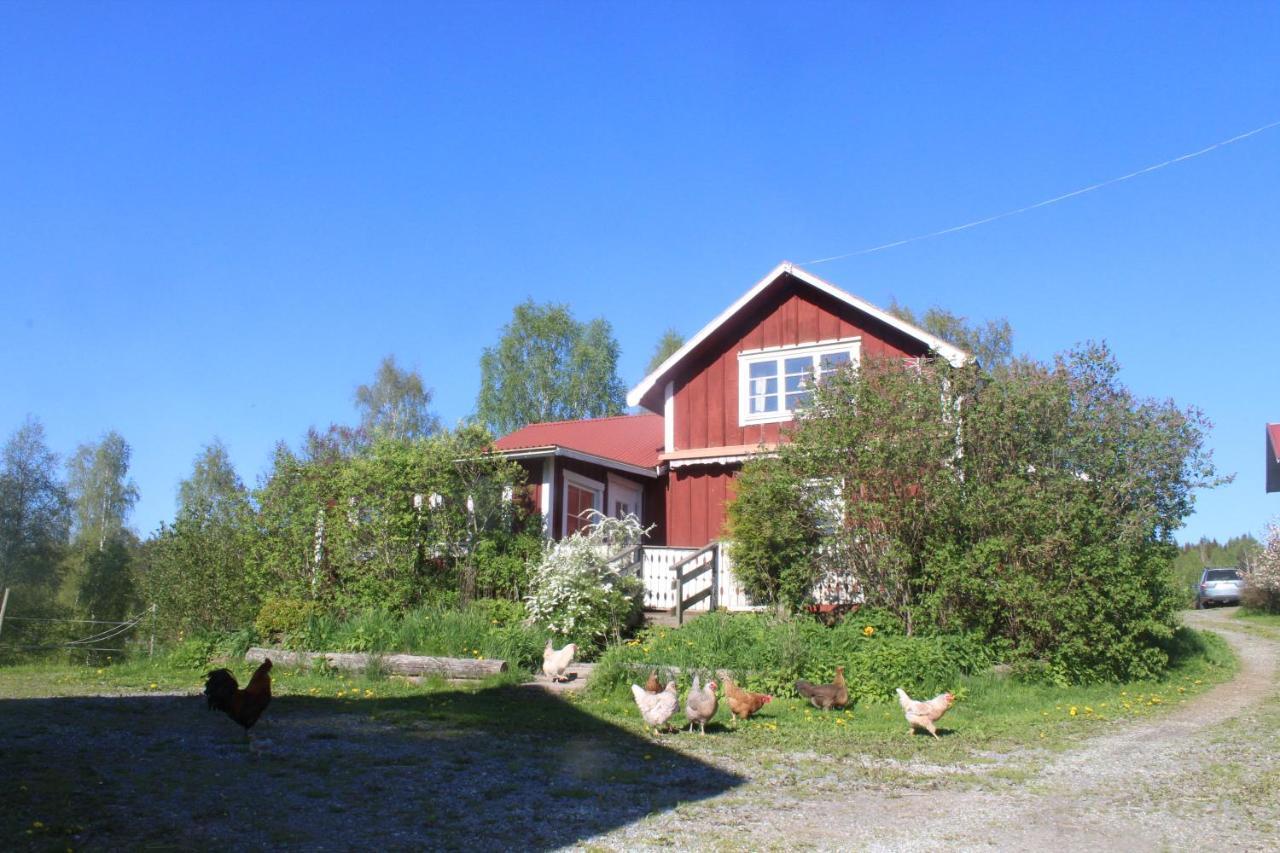 Boende Naera Romme Alpin Och Andra Friluftsaktiviteter I Dalarna Smedjebacken Luaran gambar