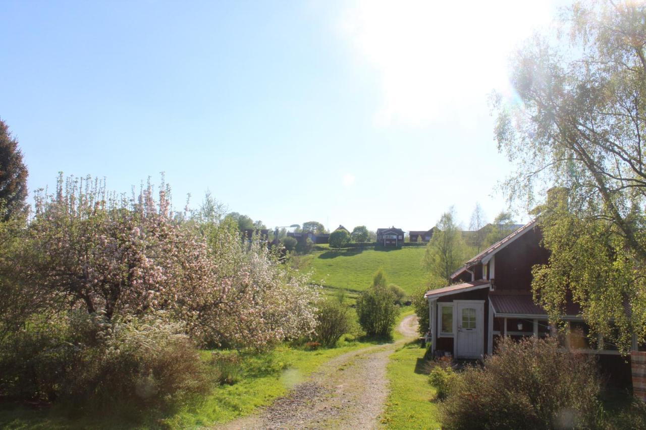 Boende Naera Romme Alpin Och Andra Friluftsaktiviteter I Dalarna Smedjebacken Luaran gambar